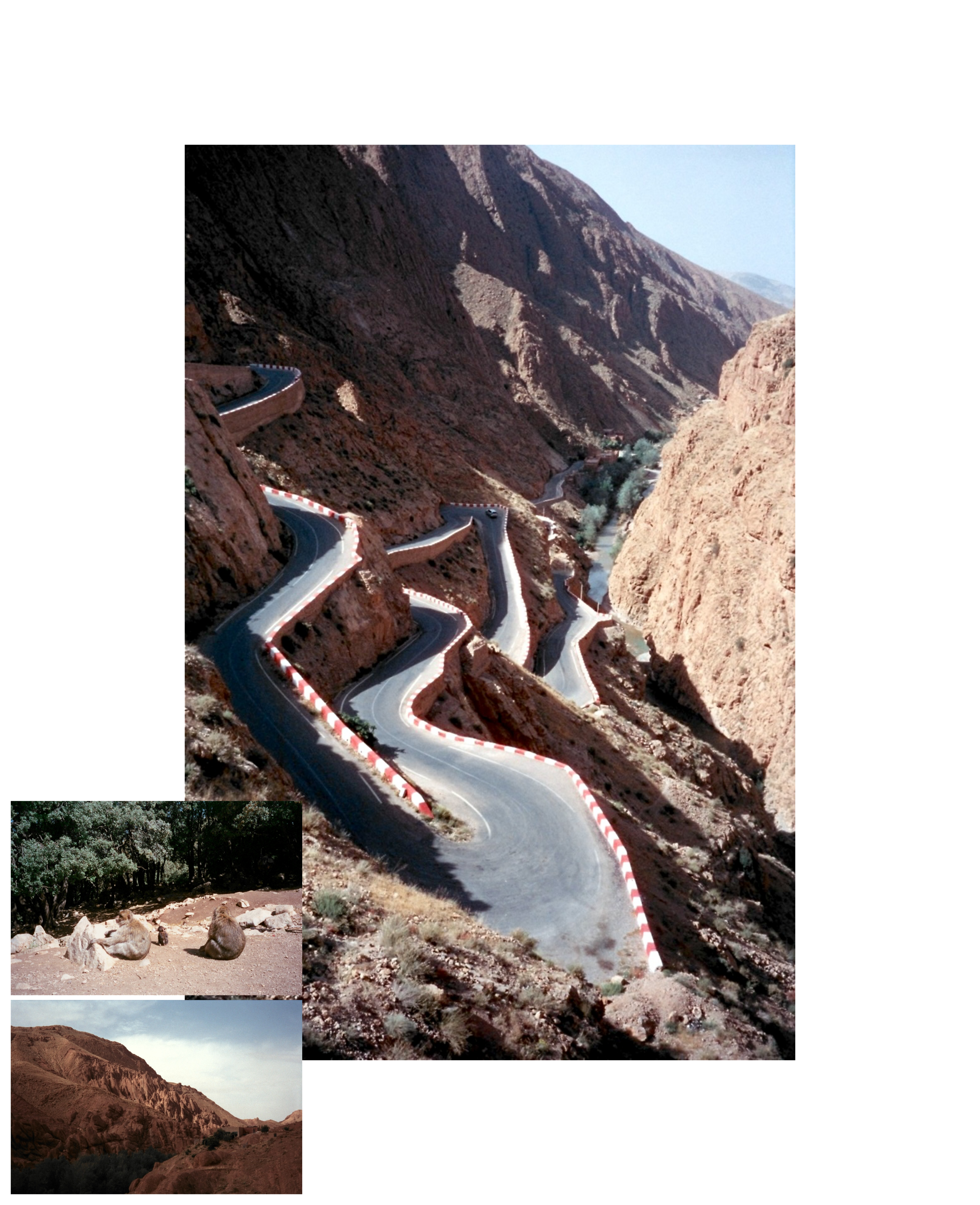 altText of the image